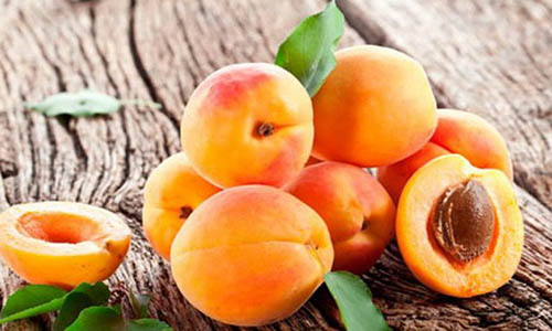 Как вырастить абрикос?