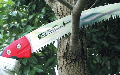 Как правильно  обрезать плодовые деревья